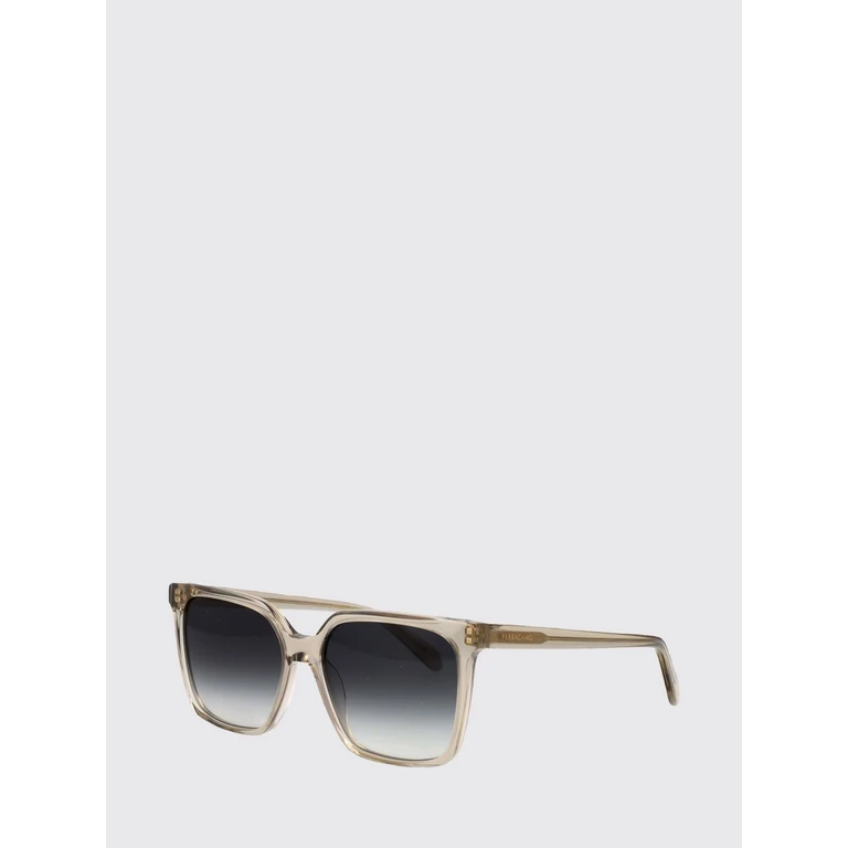 Acetate Cat-Eye Sunglasses with Gradient Lenses (SF2102S313)