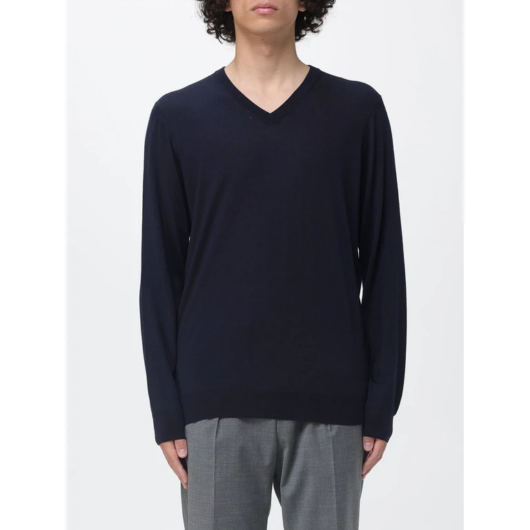 Basic V-Neck Merino Wool Sweater (D0D481790)