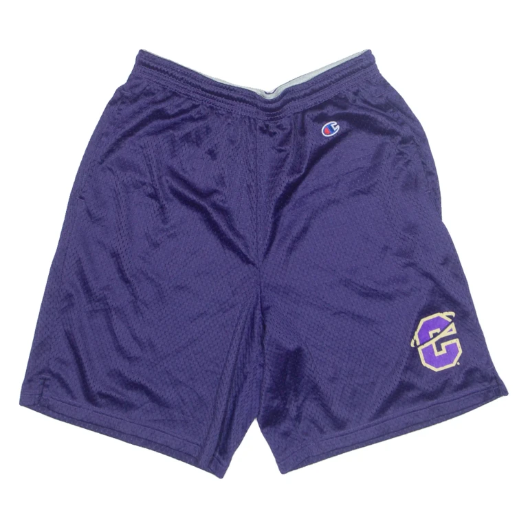 CHAMPION USA Mens Sports Shorts Purple Relaxed M W28