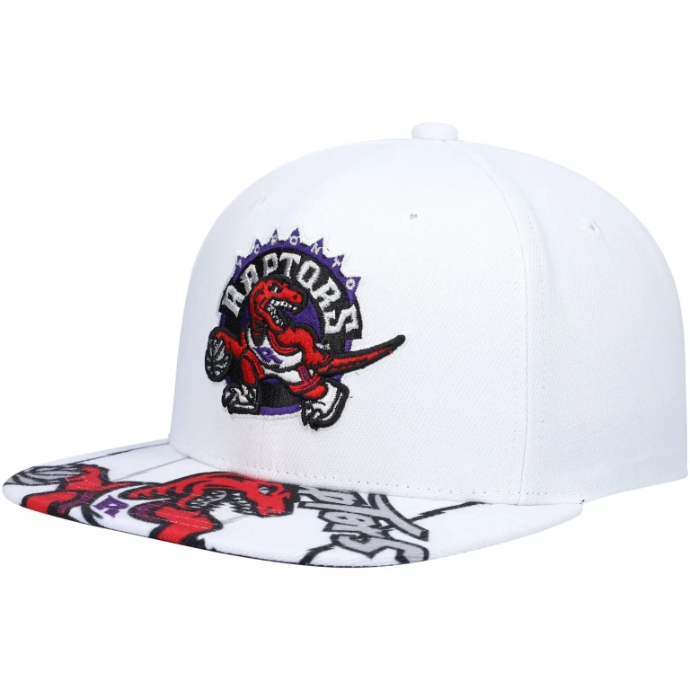 Men's NBA Swingman Pop Snapback Hwc Raptors Jerseys