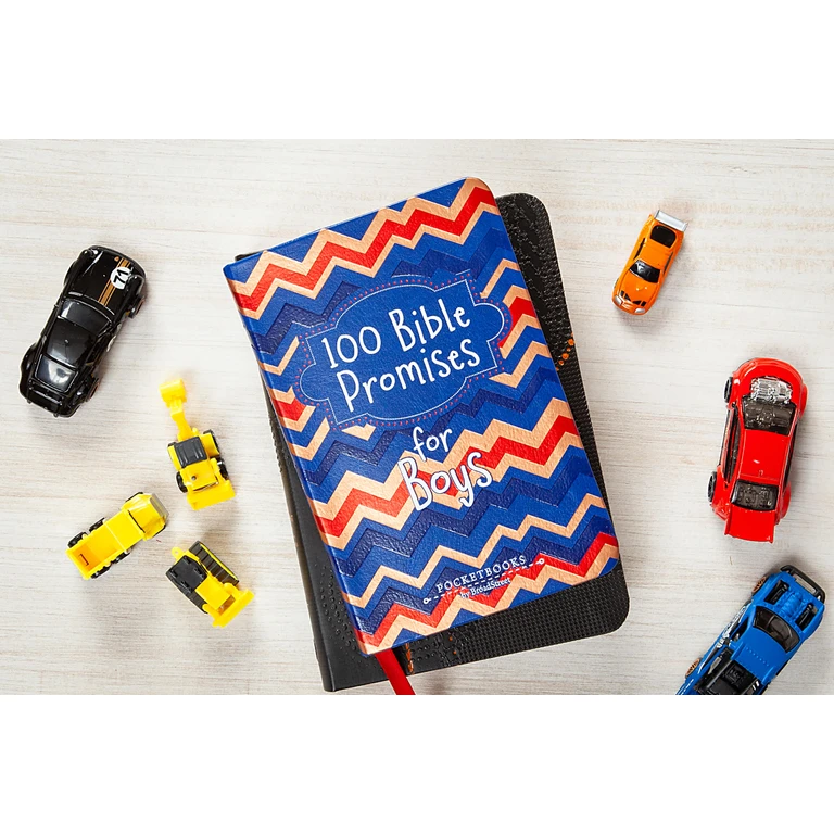 100 Bible Promises for Boys