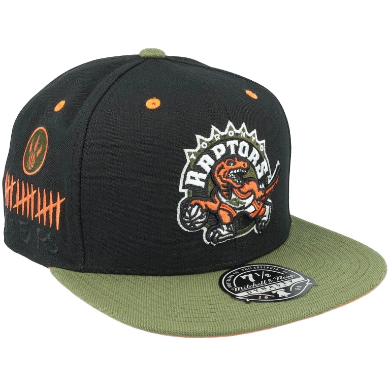 Men's NBA Take Flight Fitted Hwc Raptors Fitted Caps