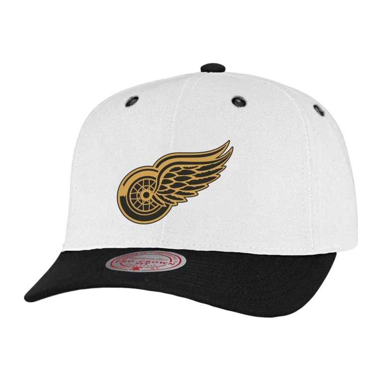Men's NHL Black Gold Pc Snapback Red Wings Snapback Caps