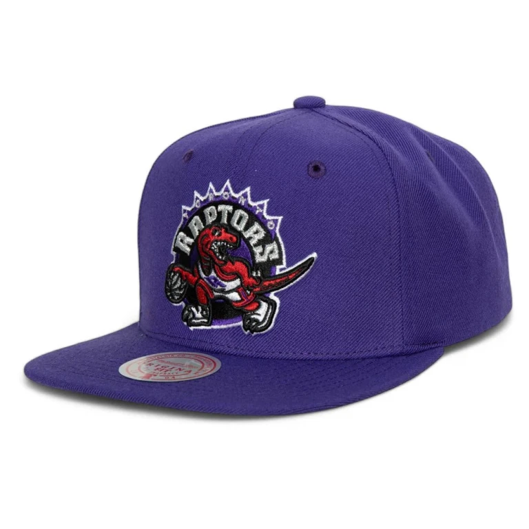 Men's NBA Team Ground 2.0 Snapback Hwc Raptors Snapback Caps