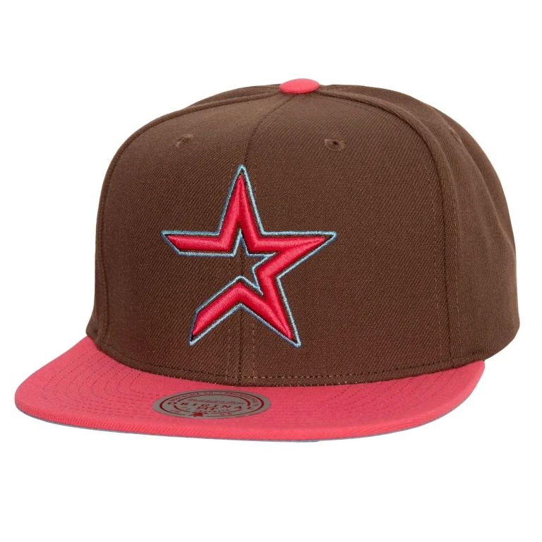 Men's MLB The Damn Snapback Coop Astros Brown