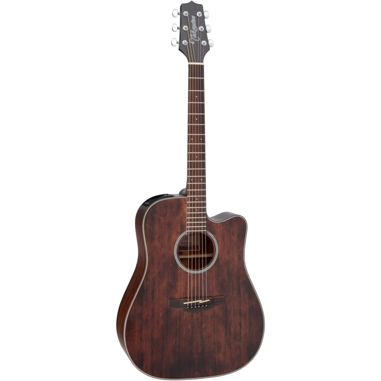 GD21CE Acoustic-Electric Guitar (Satin Molasses)