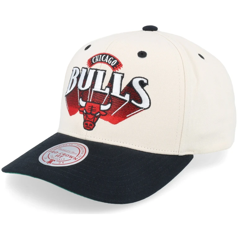 Men's NBA Horizon Pro Snapback Bulls