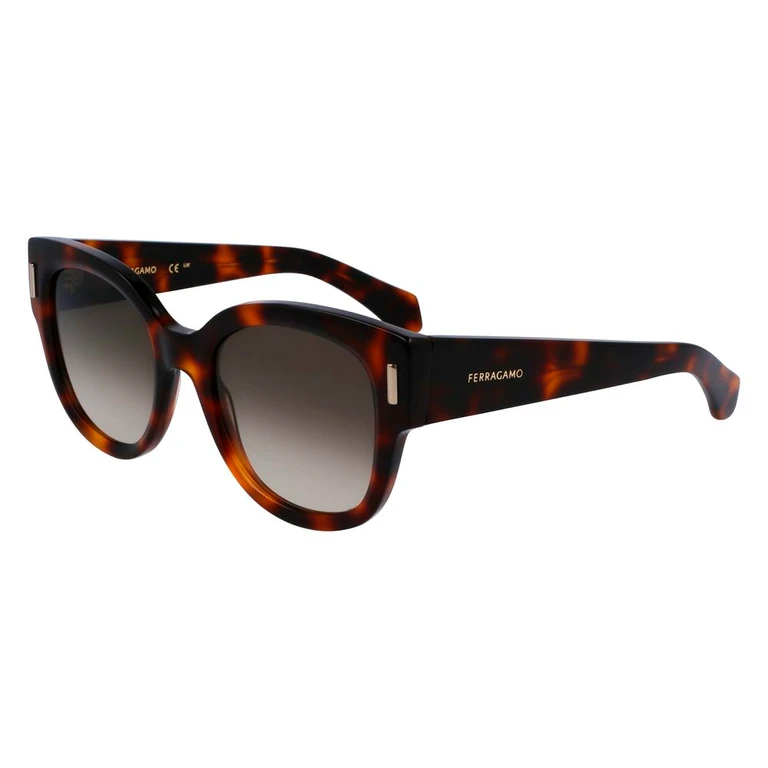Ferragamo Brown Acetate Sunglasses - Women
