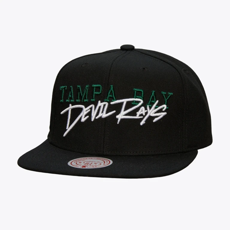 Men's MLB Team Tagged Snapback Coop Rays Snapback Caps