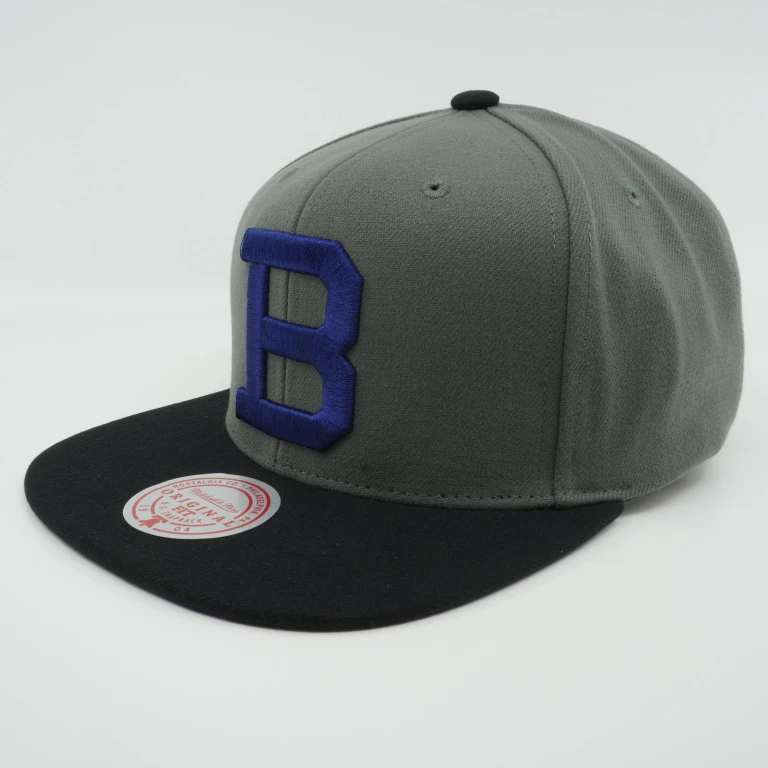 Men's MLB Storm Front Snapback Coop Dodgers Snapback Caps