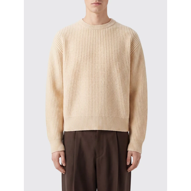 Long-Sleeved Crewneck Jumper in Pure Wool (J22GP0305J14848103)