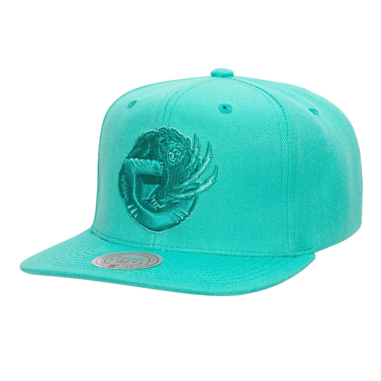 Men's NBA Vancouver Grizzlies Monochromatic Snapback