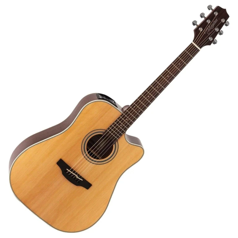GD20CE-NS Dreadnought Cutaway Acoustic-Electric Guitar (Natural)
