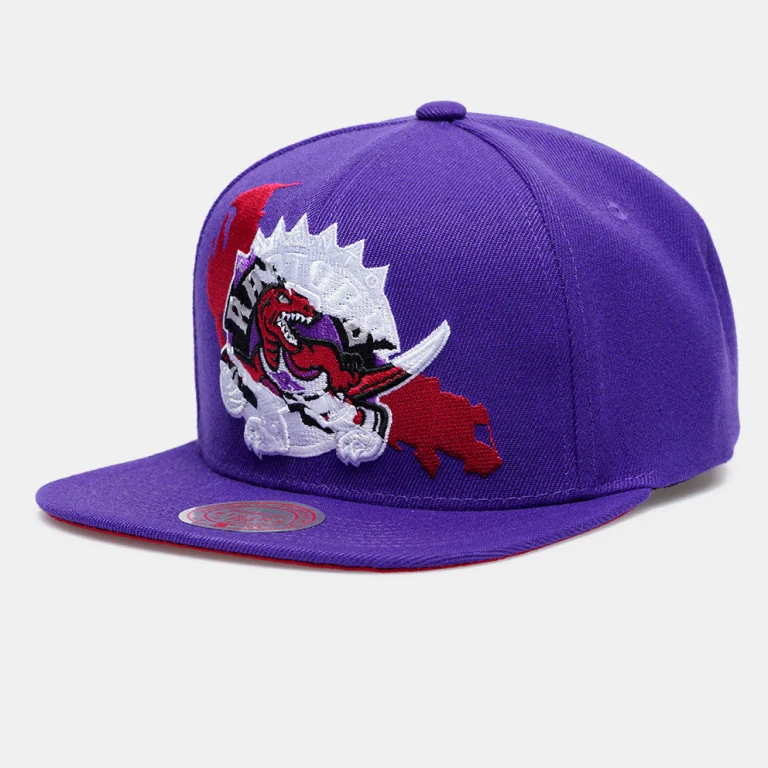 Men's NBA Paint By Number Snapback Hwc Raptors Snapback Caps