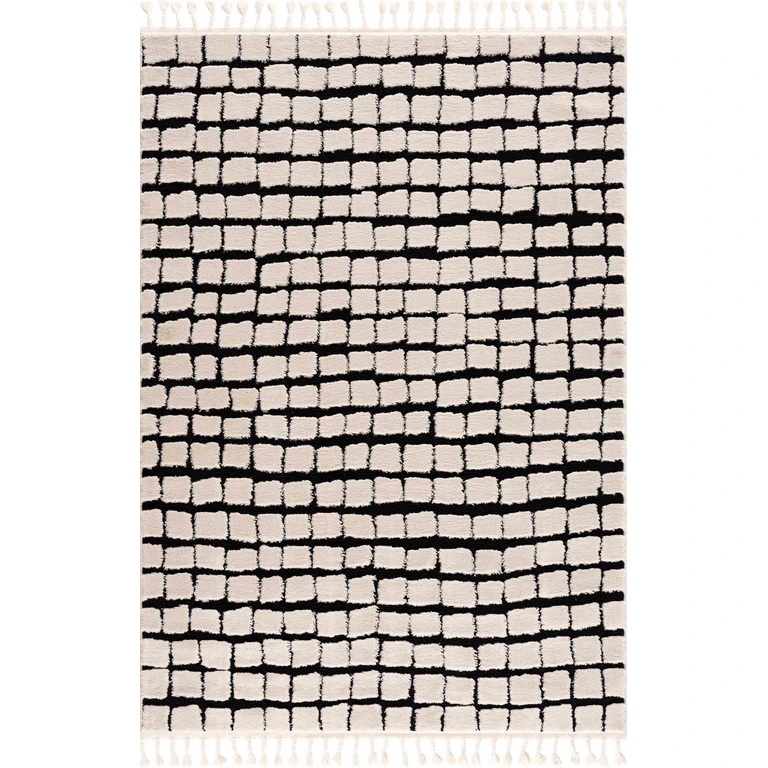 Teshi Checkered Area Rug