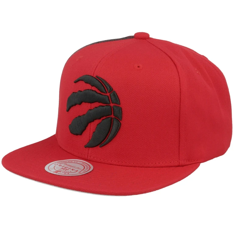 Men's NBA Tapestry Snapback Raptors Snapback Caps