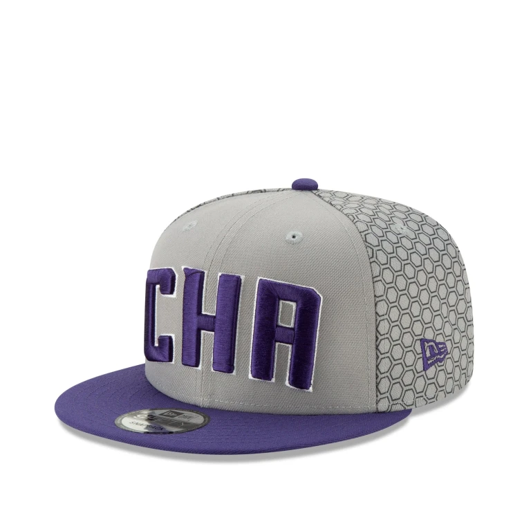 Men's Charlotte Hornets - Grey/Purple City Series 950 Snapback Hats
