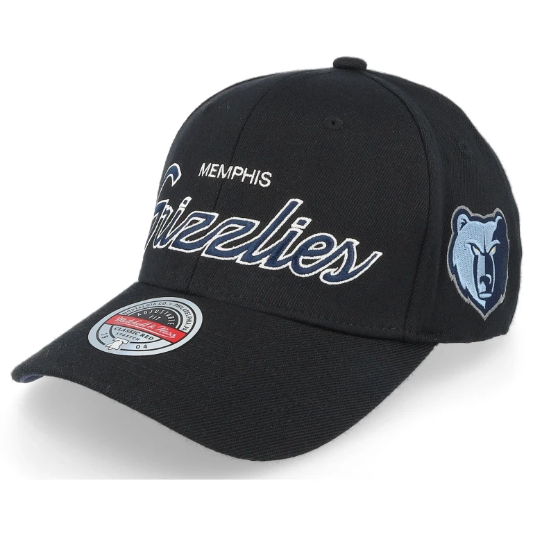 Men's NBA Team Script 2.0 Stretch Snapback Grizzlies