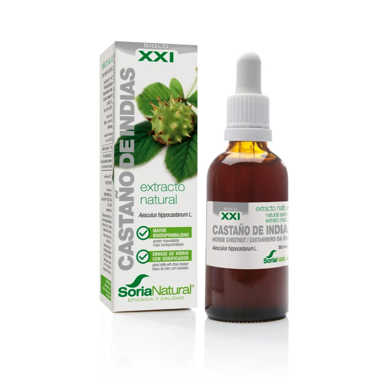 Extract of Soria Chestnut Horse S XXI