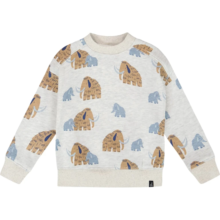 Long Sleeve Crew Neck Fleece Sweatshirt - Baby Boy