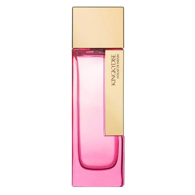 Kingkydise - 100ml