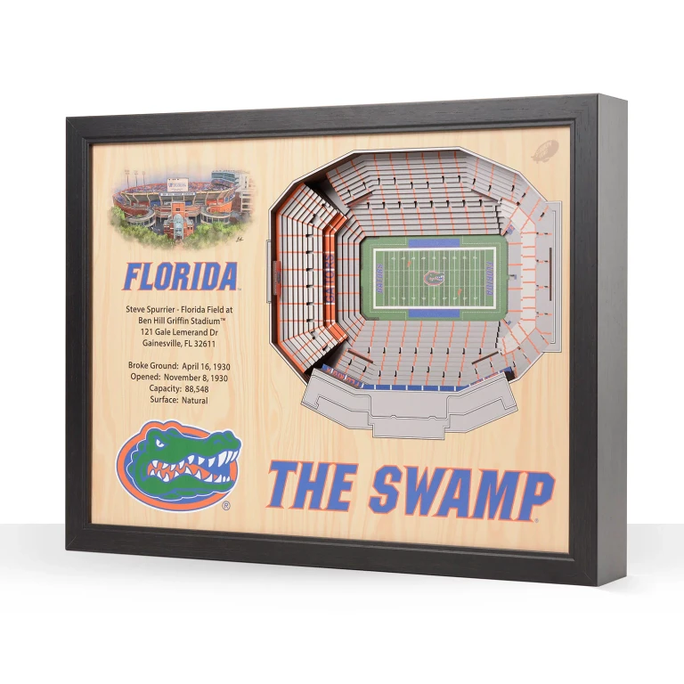 Florida Gators 25-Layer Football Stadium View 3D Wall Art
