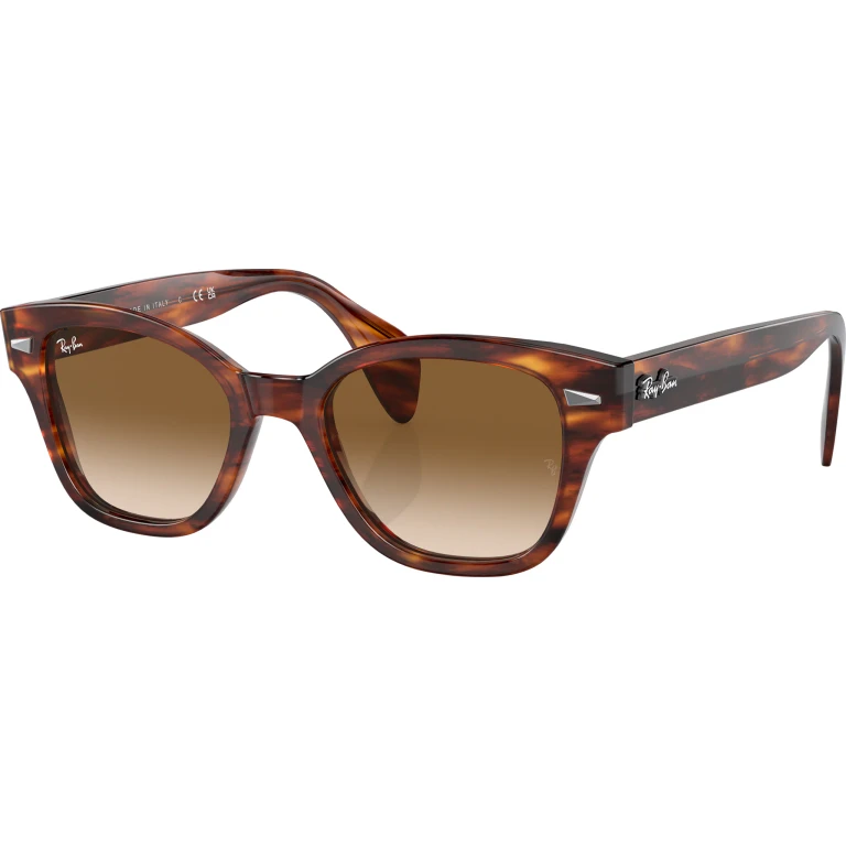 RB0880S Sunglasses - Unisex