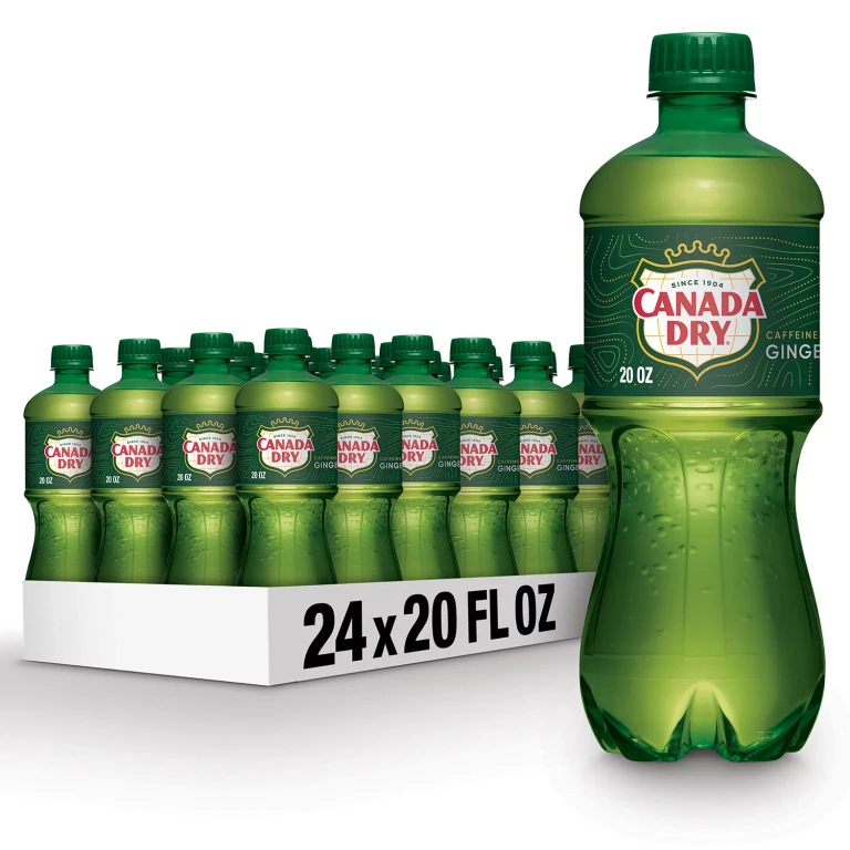 Ginger Ale Soda, 20 fl. oz., 24 pk.