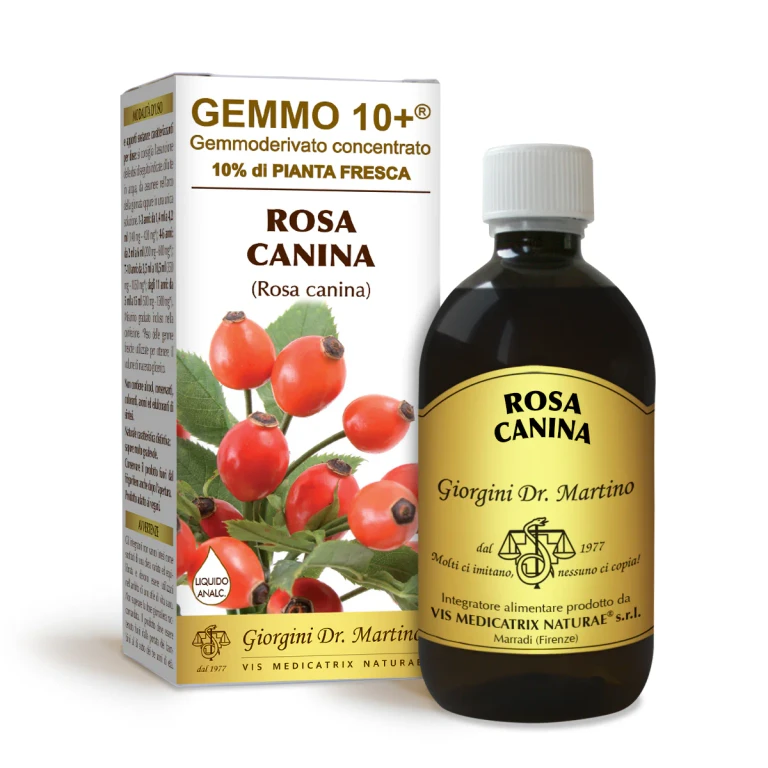gemmo 10+ rose hips 500 ml non-alcoholic liquid