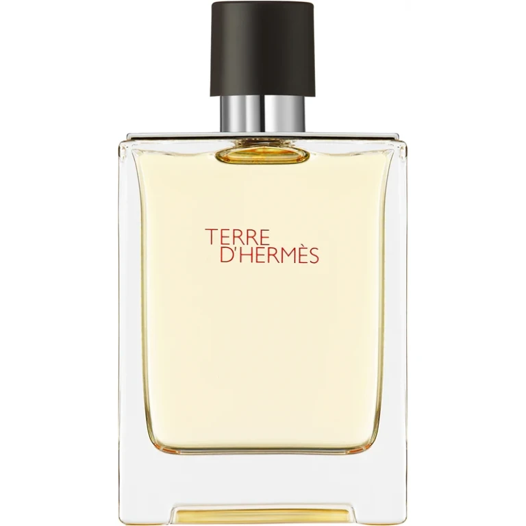 Hermes terre D'Hermes EDT M 100 ml