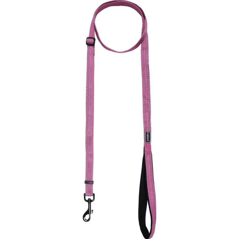 Star Dog Leash - Large