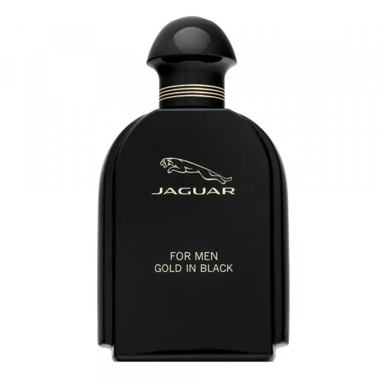 For Men Gold in Black EDT M 100 ml
