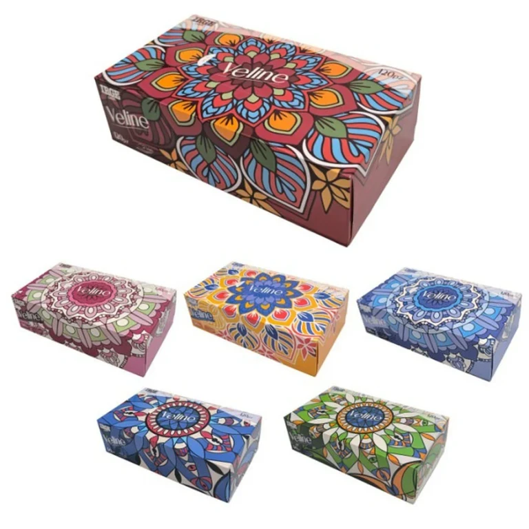 Box of 120 2-ply tissues 1 unit
