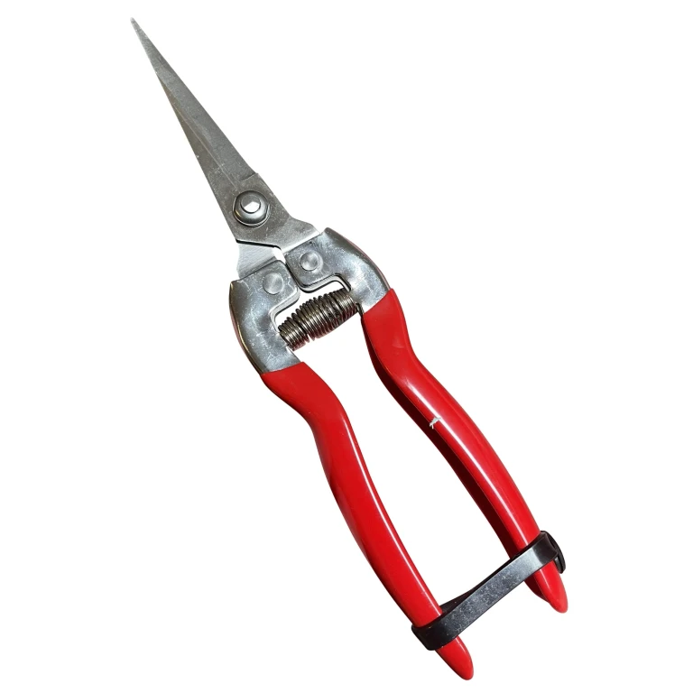 Garden Guru Garden Guru Stainless Steel Bonsai Pruner Shears Clippers