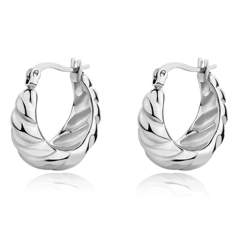 Trendy Solid Steel Earrings Shk59
