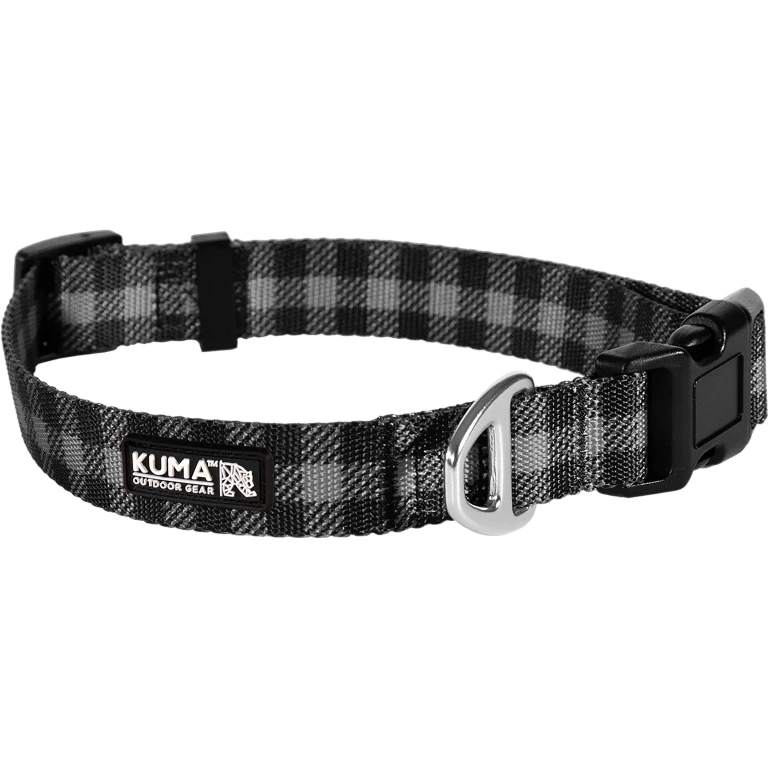 Lazy Bear Dog Collar