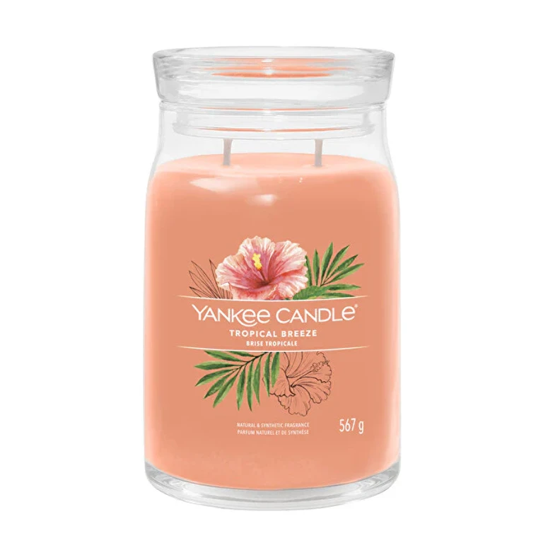 Signature Scented Candle in Large Glass Tropica L Breeze 567 G