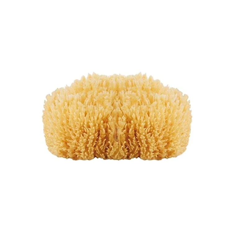 Natural Marine Sponge
