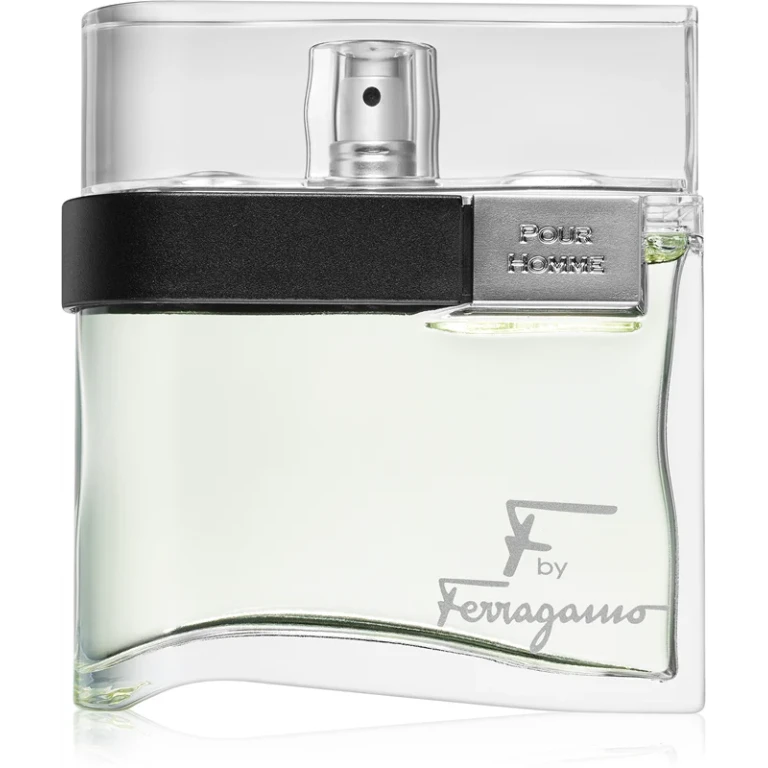 Savior Ferragamo F man EDT M 100 ml