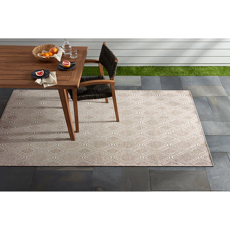 Corin Indoor/Outdoor Area Rug:- 8' x 10'