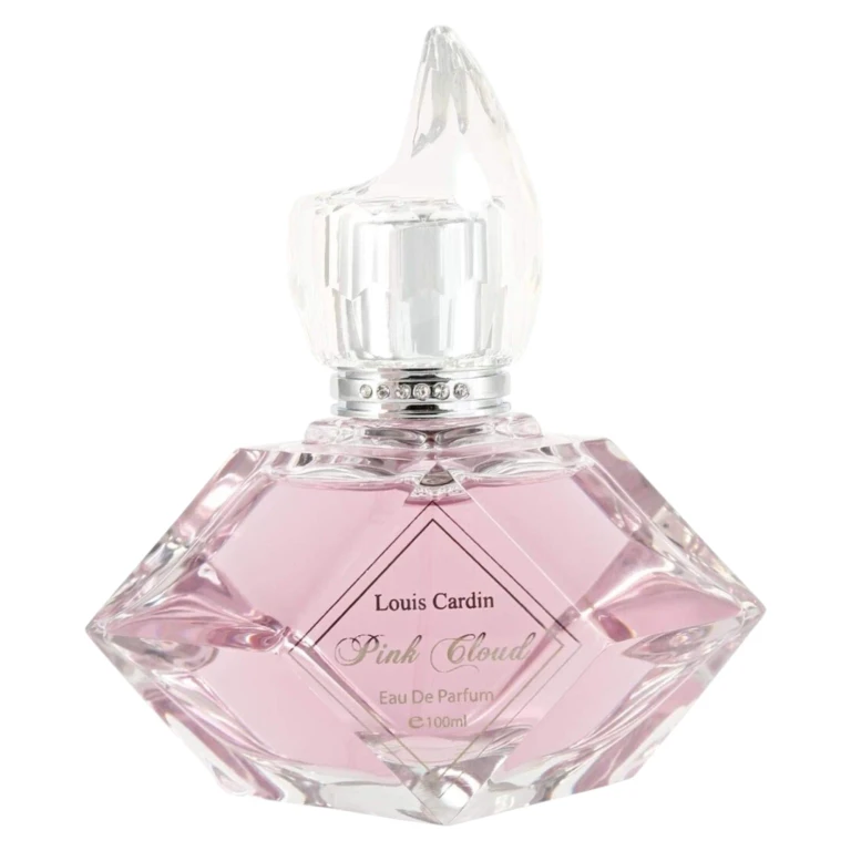Pink Cloud women's eau de parfum 100 ml