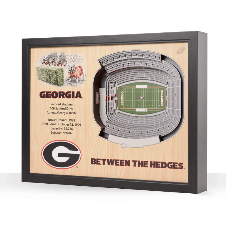 Georgia Bulldogs 25-Layer Football Stadium View 3D Wall Art