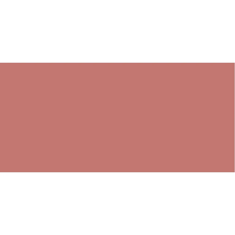 Beauty Evolution All Over Color, Organic Multi-Purpose Tinted Cream, 5 G - Shade: Reddish