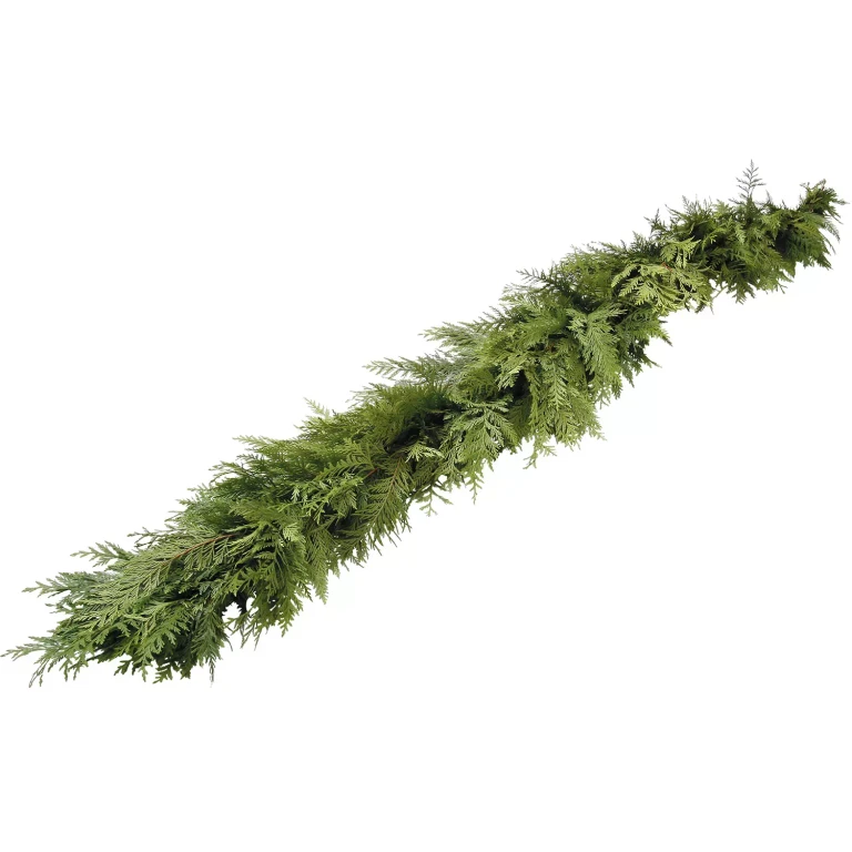 Western Red Cedar Garland, 25 ft.