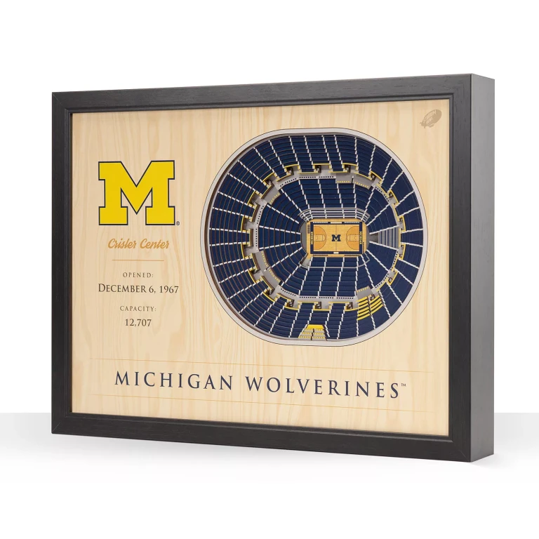 Michigan Wolverines 25-Layer Basketball Stadium View 3D Wall Art