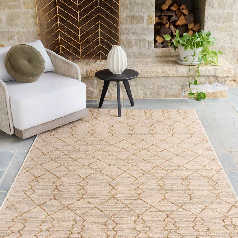 Marion Grace Indoor/Outdoor Area Rug:- 5'3' x 7'