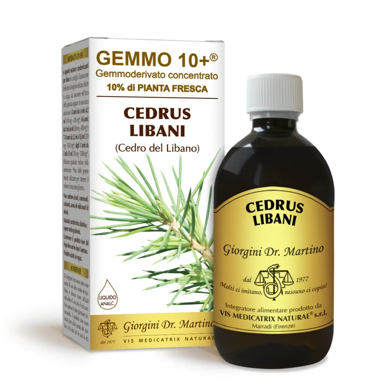 gemmo 10+ cedar of Lebanon 500 ml non-alcoholic liquid