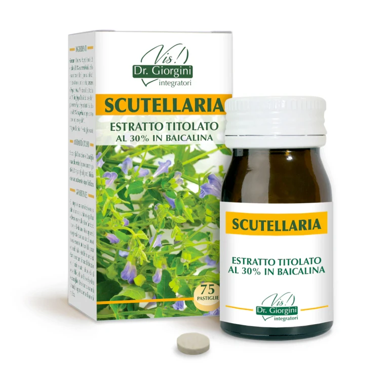 황금 표준화 추출물 30g - 400mg 정제