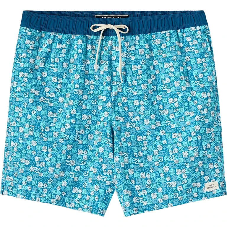 Hermosa Volley E-Waist Boardshorts 17" - Men's