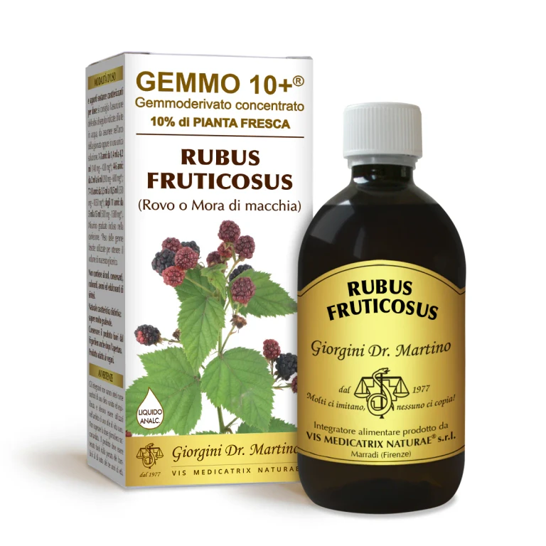gemmo 10+ blackberry (blackberry bush) 500 ml non-alcoholic liquid